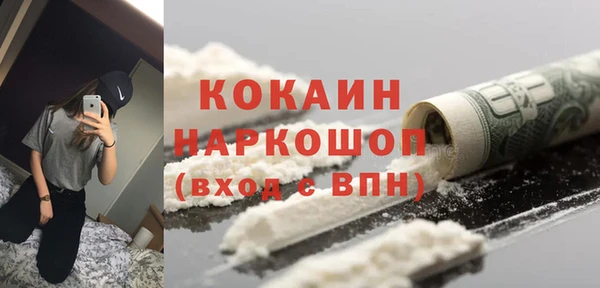 шишки Нягань