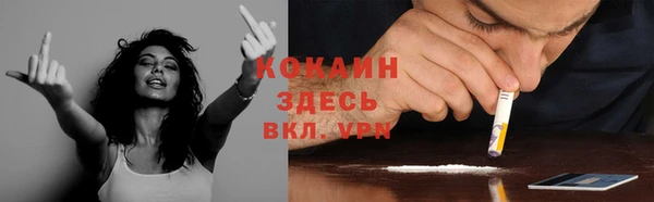 ECSTASY Няндома
