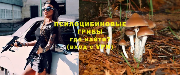 ECSTASY Новозыбков