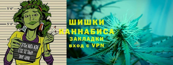 шишки Нягань