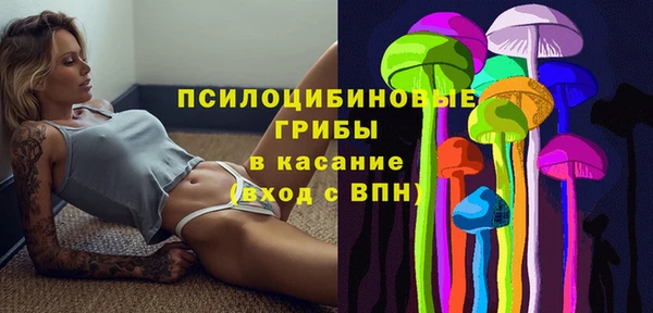 шишки Нягань