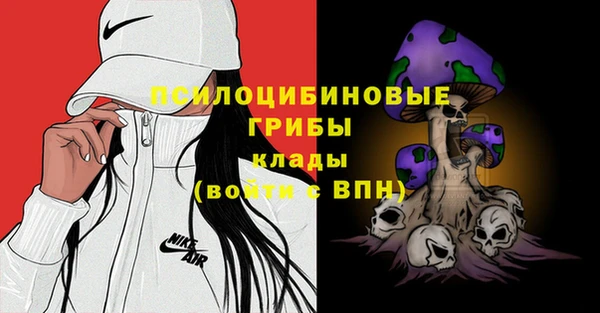 ECSTASY Няндома