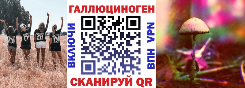 Псилоцибиновые грибы Cubensis  Купить где  Кириши 